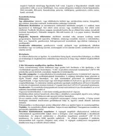 images/PROTOKOLOK/APOLASI PROTOKOLL/APOLASI PROTOKOLL_2019_vegleges_1145.jpg